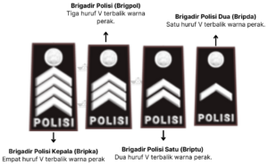 Sistem Kepangkatan Polisi - Bintara